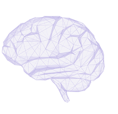 Our Company 13 brain
